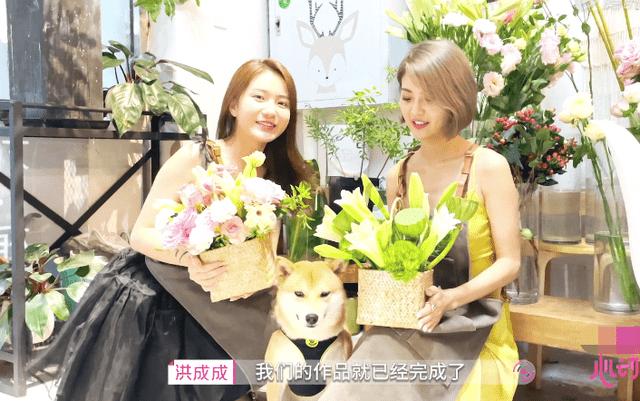 越过篱笆